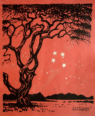 Bild Kameldornbaum von Uli Aschenborn